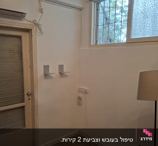 טיפול בעובש וצביעת 2 קירות.

